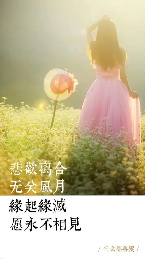 缘起缘灭,愿永不相见