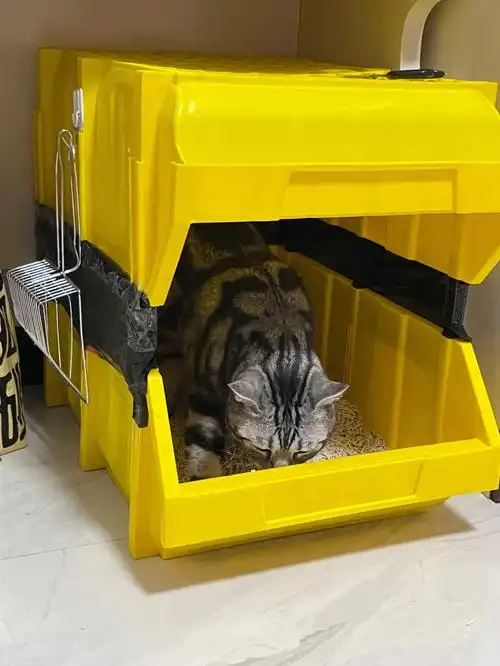 自制猫砂盆抄作业成功