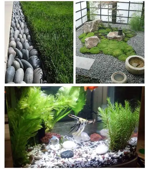 白色鹅卵石 园林造景铺路白色抛光雨花石子 鱼缸水池垫底石头