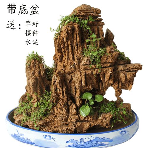 水生苔藓植物化石良好的吸水石吸水性特别强吸水石由于暄而脆易于造型