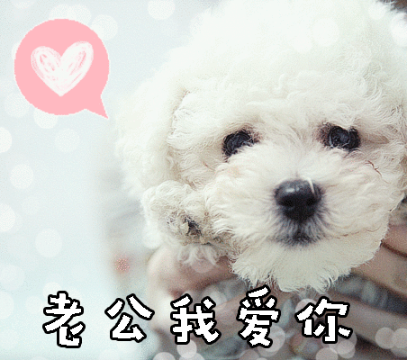 老公我爱你gif动图_动态图_表情包下载_soogif
