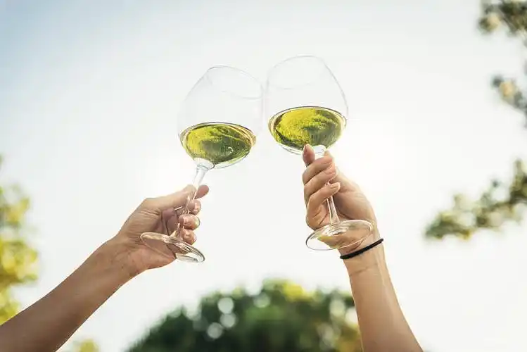 女性朋友_干杯_碰杯_白葡萄酒_公园_图片大全—全景创意图库(quanjing