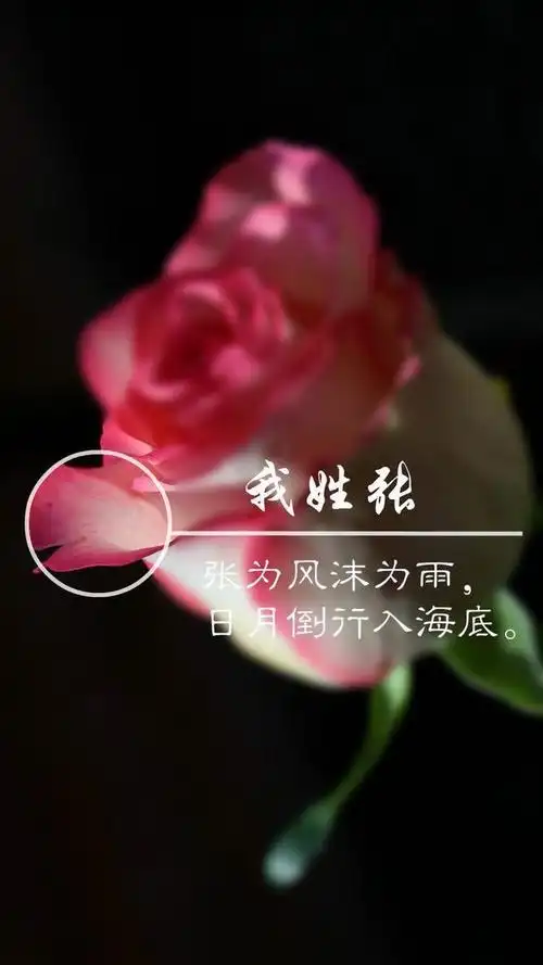 用你的名字,作诗提字姓氏壁纸,美美哒