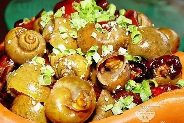 翠椒爆蜗牛词条图册_百度百科