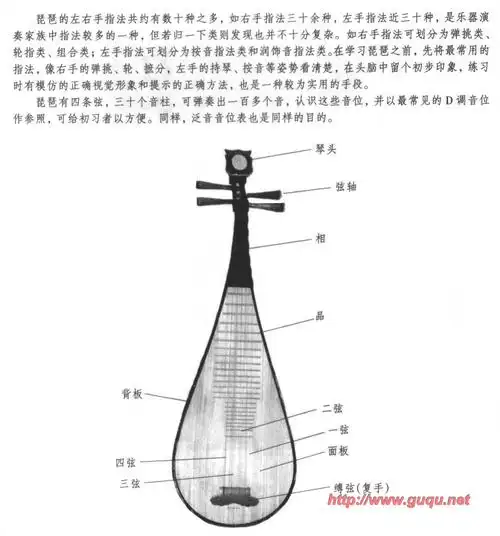 常用琵琶指法图文简介