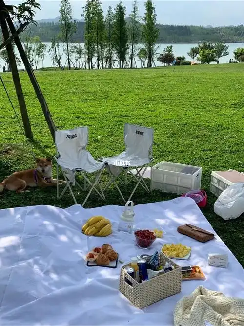 这样野餐也太有ins风了