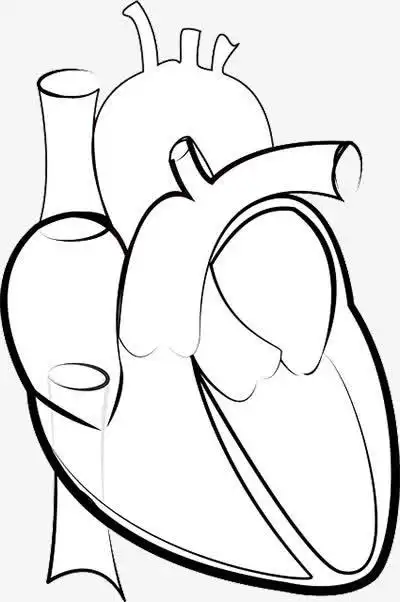 心脏手绘