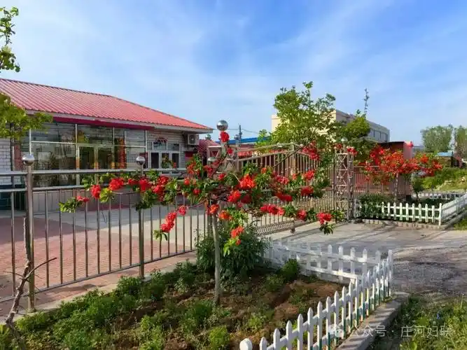 建和美乡村 晒美丽庭院|晒晒我的小院子②徐岭镇