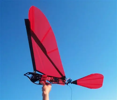 扑翼飞行器的研究进展---多图 - 飞行论坛 - powere.