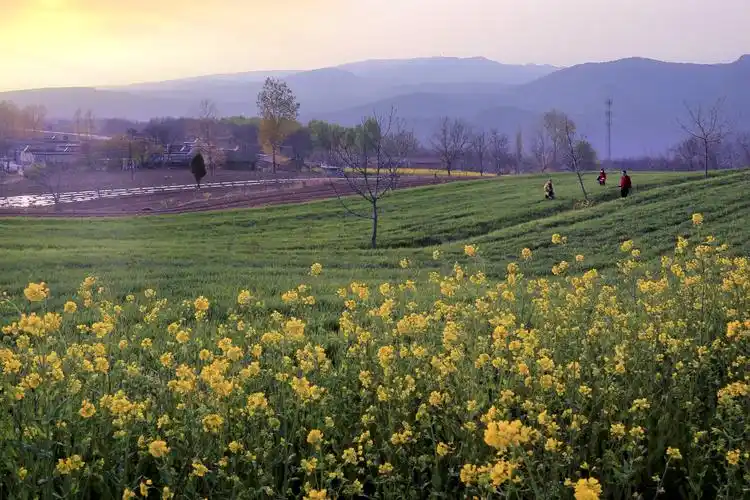 "美丽乡村·温情东塬"扶贫公益摄影展征稿