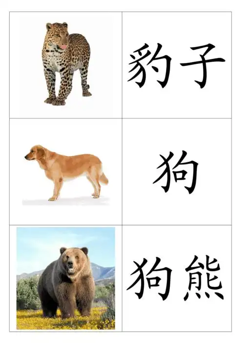 幼儿动物识字卡配图
