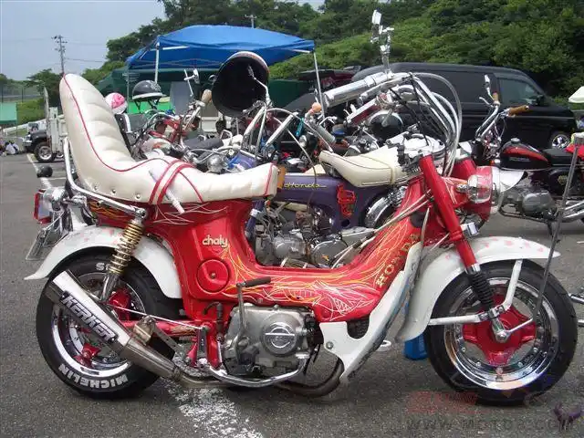 文哥你的金城70要改了