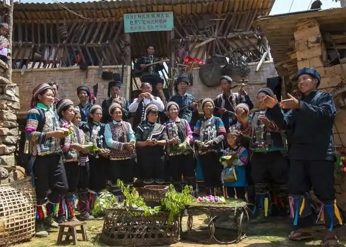 听云南 | 红河哈尼族多声部民歌 梯田山林边流淌的音乐