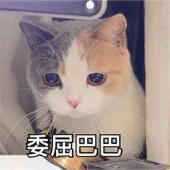 萌宠猫星人委屈巴巴可怜呆萌可爱gif动图_动态图_表情包下载_soogif