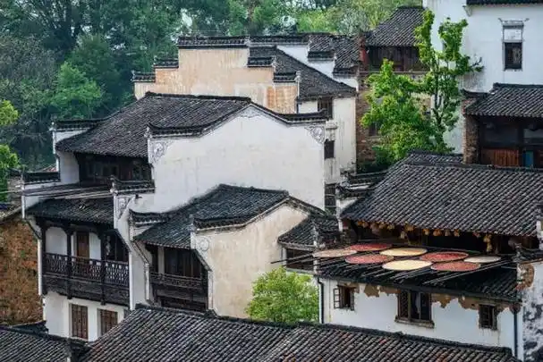 春日旅行图鉴丨婺源——游走在古徽派建筑中,在花海中看人烟