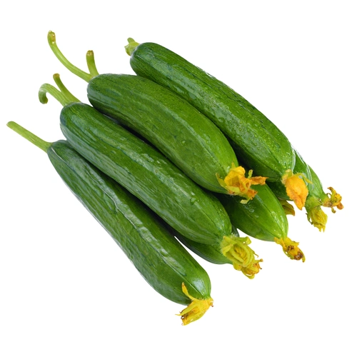 新鲜水果黄瓜无刺小青瓜3斤装甜嫩脆青瓜荷兰小黄瓜无需削皮