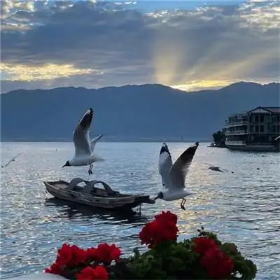 唯美治愈高级大自然风景头像图片 治愈系很有意境的图片头像2022