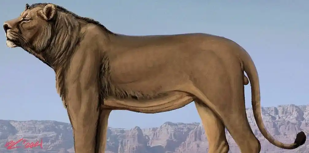 剑齿虎vs残暴狮,谁才是真正的史前猫科一哥?_猎物_生活_化石