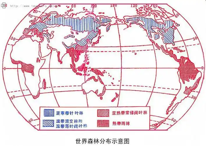 世界森林资源分布图