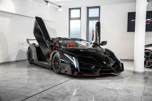 兰博基尼lamborghini veneno roadster
