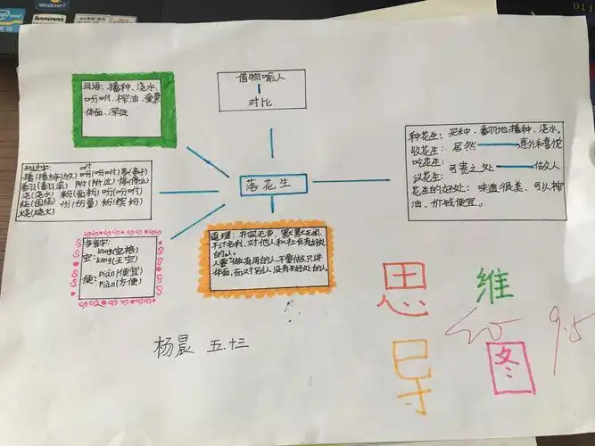 《落花生》导图—临沂第四十中学五年级13班