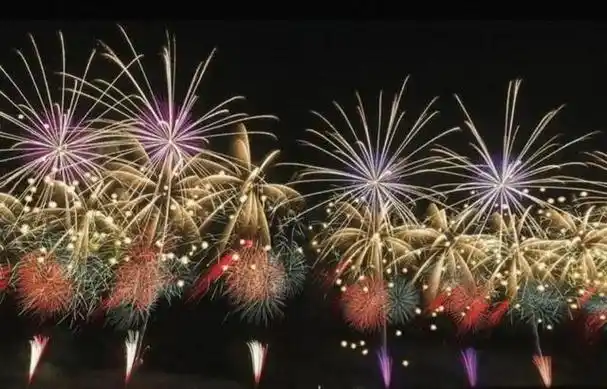 再过十天,又到了中国的农历新年,提到新年,很多人都会想到烟花爆竹