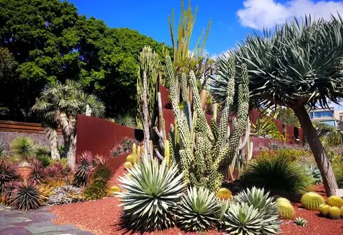 悉尼皇家植物园