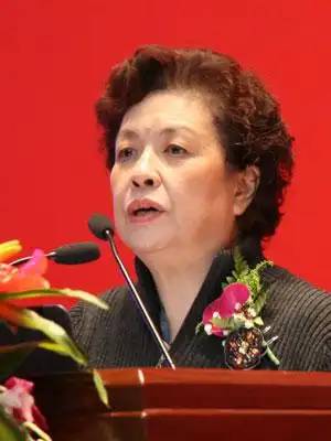 图文:中国市长协会副秘书长陶斯亮发言_会议讲座_新浪财经_新浪网