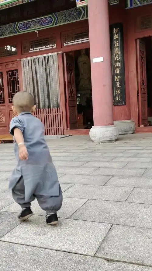 小和尚蛋蛋拜佛愿大家吉祥安康!万事如意!