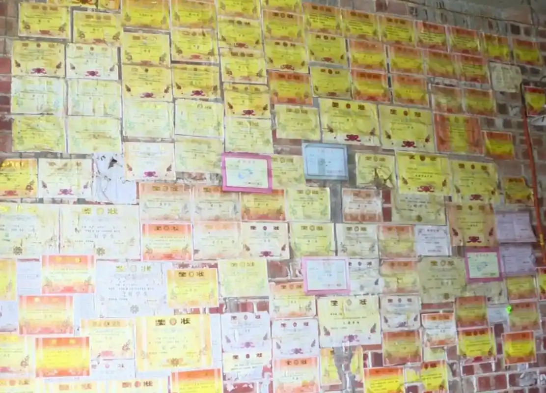 奖状贴满一面墙.视频截图