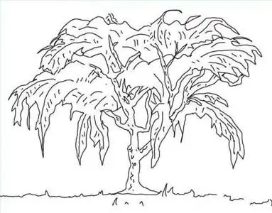 大榕树简笔画图片