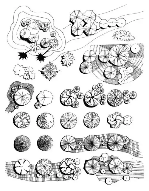 零基础手绘干货—植物配置平面图91的画法_手绘_上色_绘画_画画