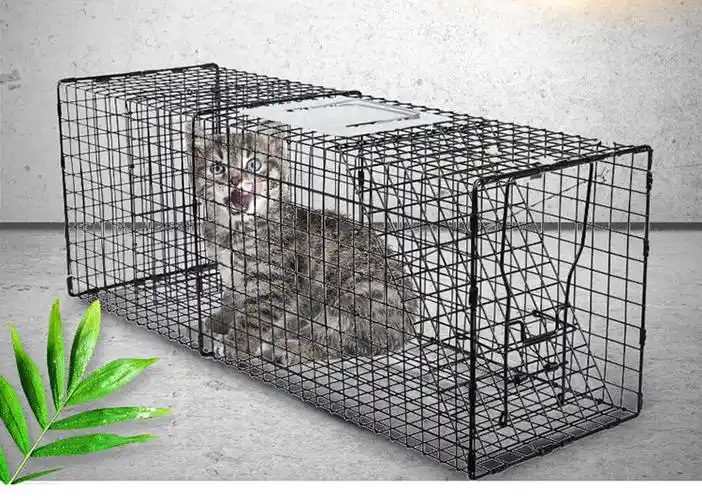 兰衍捕猫笼捕猫器救助捉猫笼驱赶野猫自动逮猫器抓猫笼镀锌银色不带