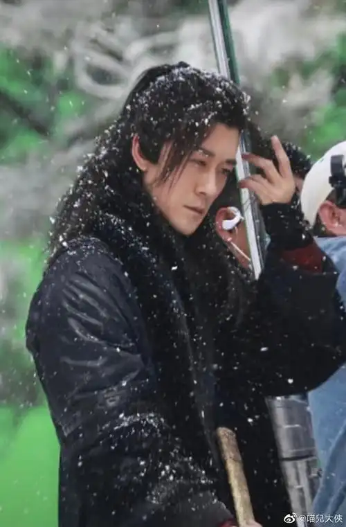 打遍天下无敌手林雨申苗人凤专楼