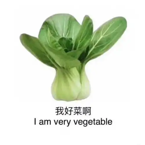 我好菜啊iamveryvagetablevagetableveryam