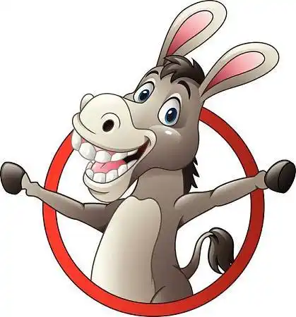 驴的图片_图片大全