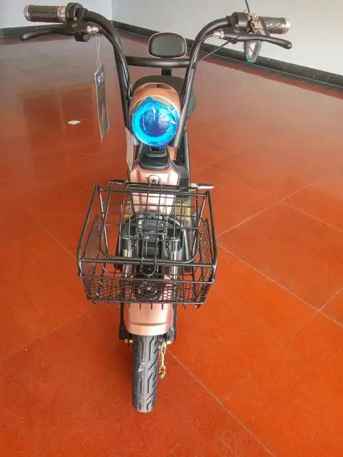 普集新金车品爱玛新品