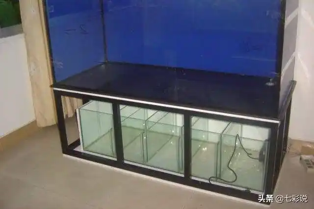 底滤,背滤,侧滤有什么不同?鱼缸过滤系统全解