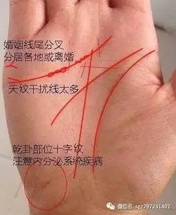 刚刚离婚手相看未来需要注意什么