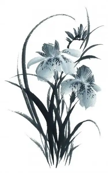 水墨花卉图片