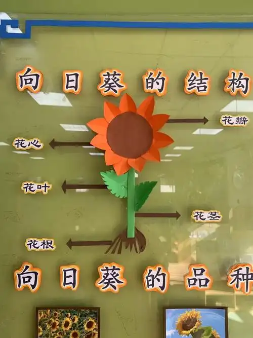 对话大师课梵高的向日葵