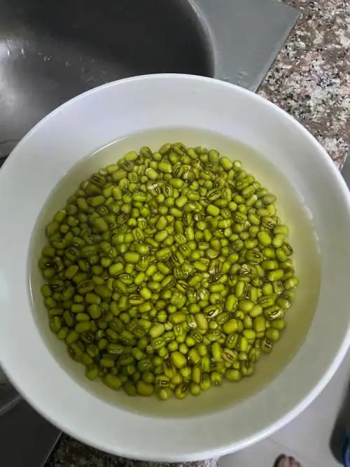 经过一周的时间,自制豆芽成功啦绿豆芽#自制豆芽#豆芽#发豆芽