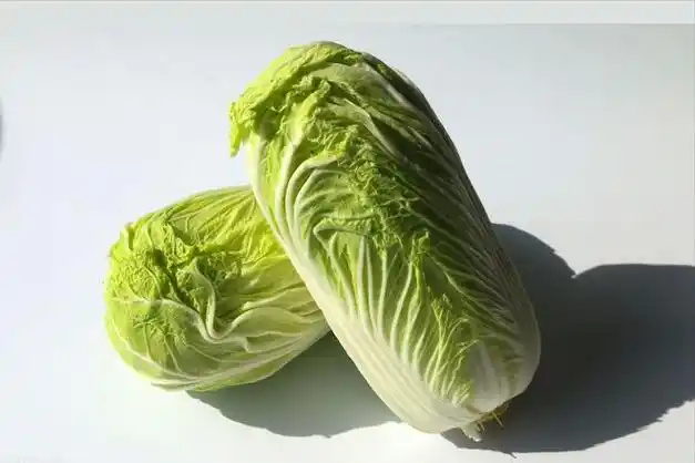 买白菜时,选择"绿的"还是"黄的"?差别挺大,建议了解一