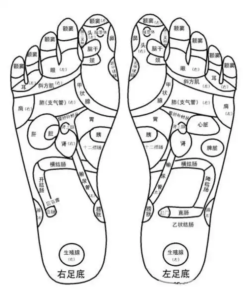 人家朱元璋正是前面最好的范例,那么脚部痣的位置和命运有什么关系呢?