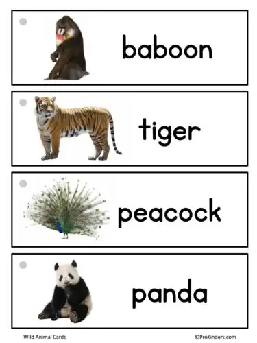 热带动物闪卡_幼儿英语学习闪卡.pdf