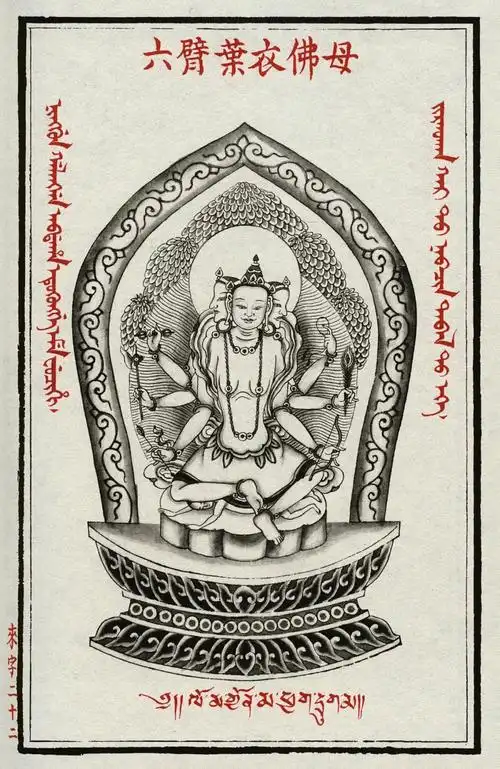 叶衣佛母莲部主明妃观世音菩萨消除一切疫病之神的化身