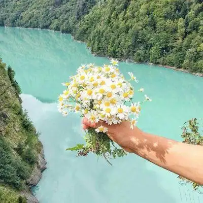 薄荷绿小清新_风景静物头像_我要个性网