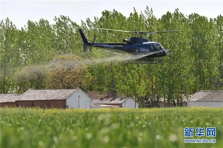 4月15日,大型植保飞机在安徽省亳州市利辛县巩店镇魏硕村麦田进行喷药