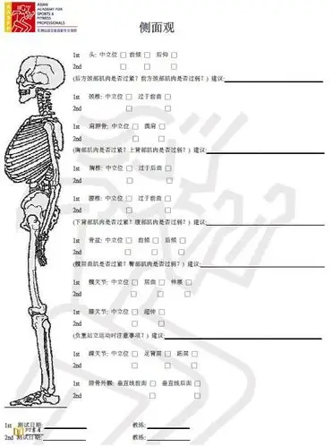 体态评估表电子版下载pdf版