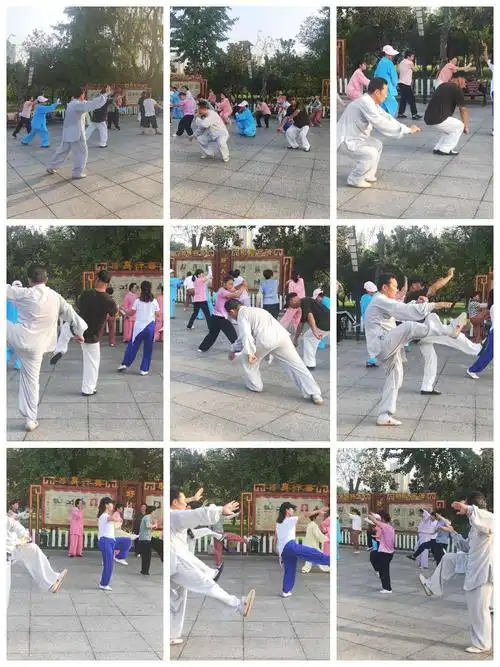 我们学习的是王庆升老师的赵堡太极拳七十二式大架(俗称领落架).